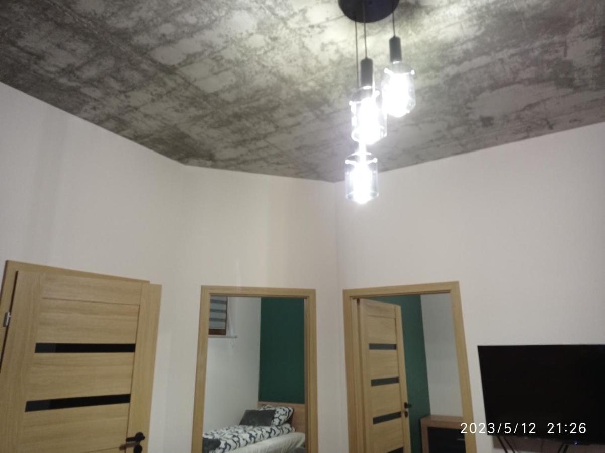 Loft Park Zator, Lokalizacja Przy Wej Parku Villa Exterior foto